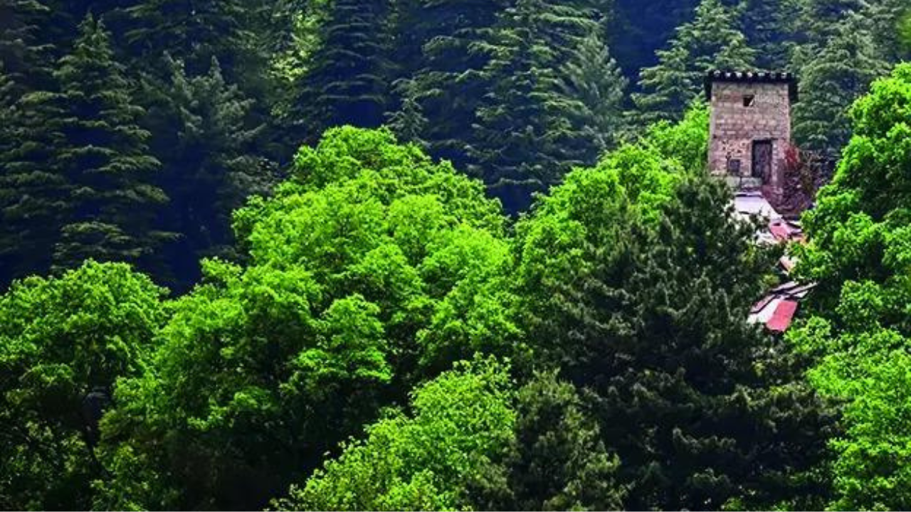 Pahalgam fallout: Fearing India hit, Pak empties out terror launch pads off LoC