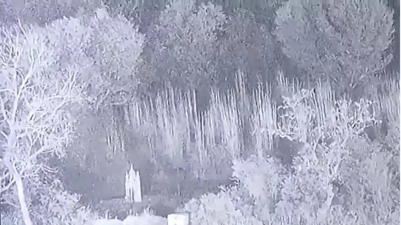 Watch: BSF foils infiltration bid by terrorists along Pakistan border