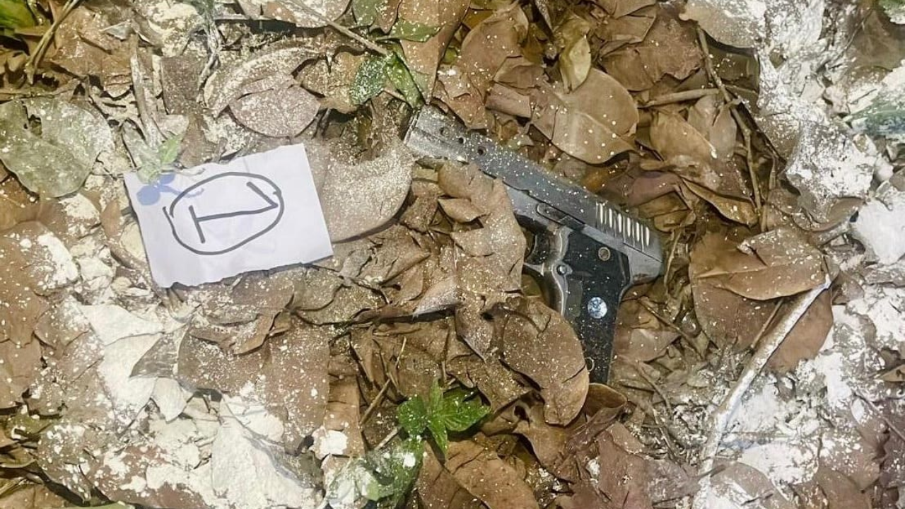 ‘Operated by foreign-based handlers’: Pak-backed terror module busted in Punjab