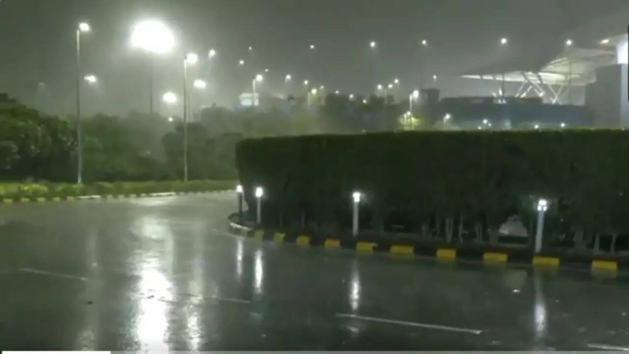 Dust storm, heavy rain lash Delhi-NCR; trees uprooted, power cuts reported
