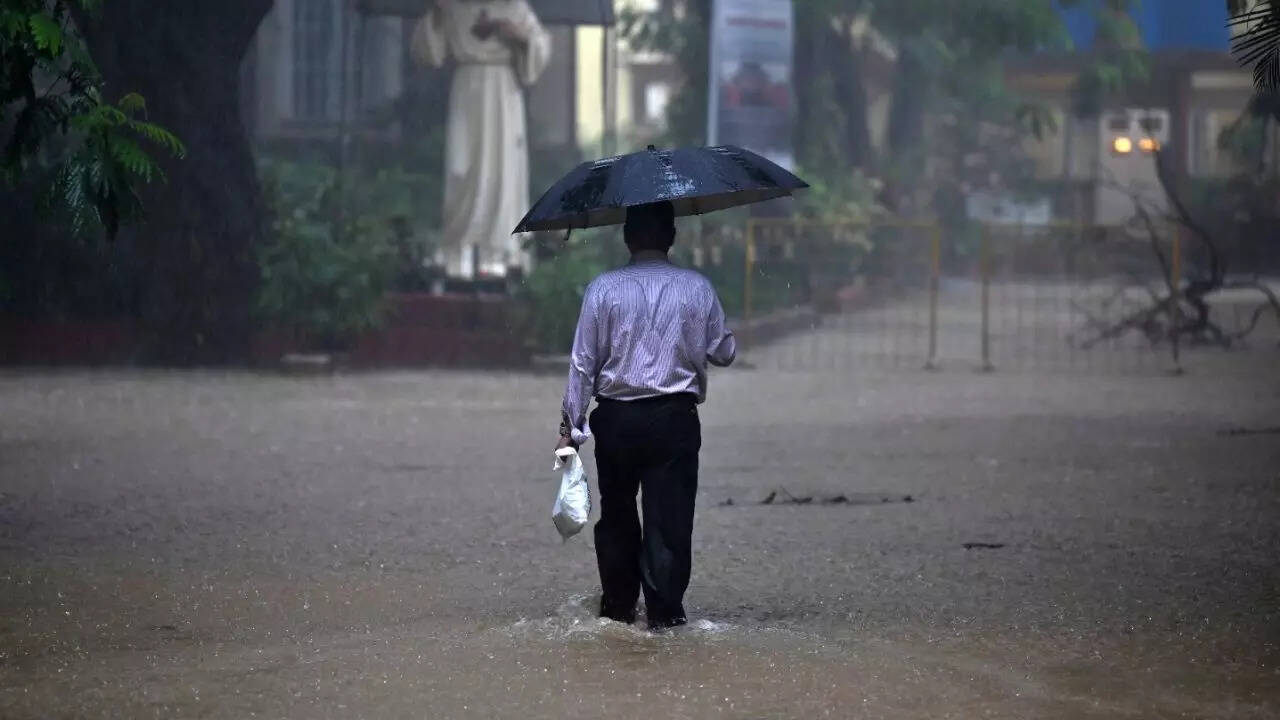 Monsoon intensifies across India; IMD issues multiple warnings
