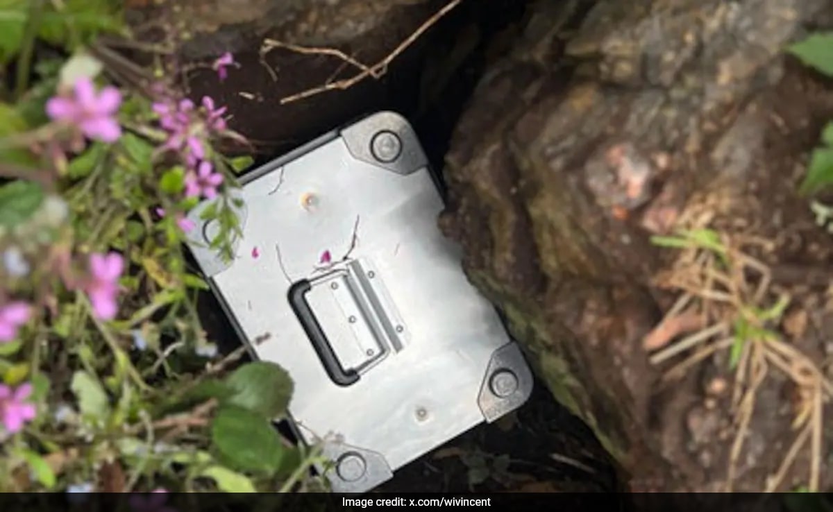 “Found It”: US Treasure Map Directs Explorer To Over Rs 8 Lakh Discovery