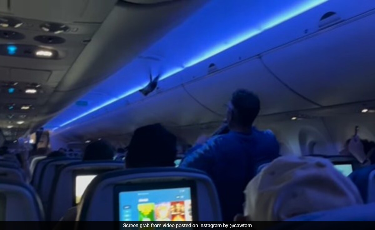 On Camera, Pigeons Cause Chaos On US Flight Carrying 119 Passengers