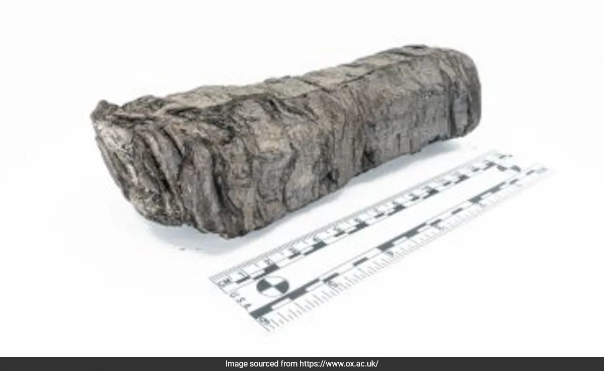 How X-Ray Offered Peek Inside 2,000-Year-Old Herculaneum Scroll