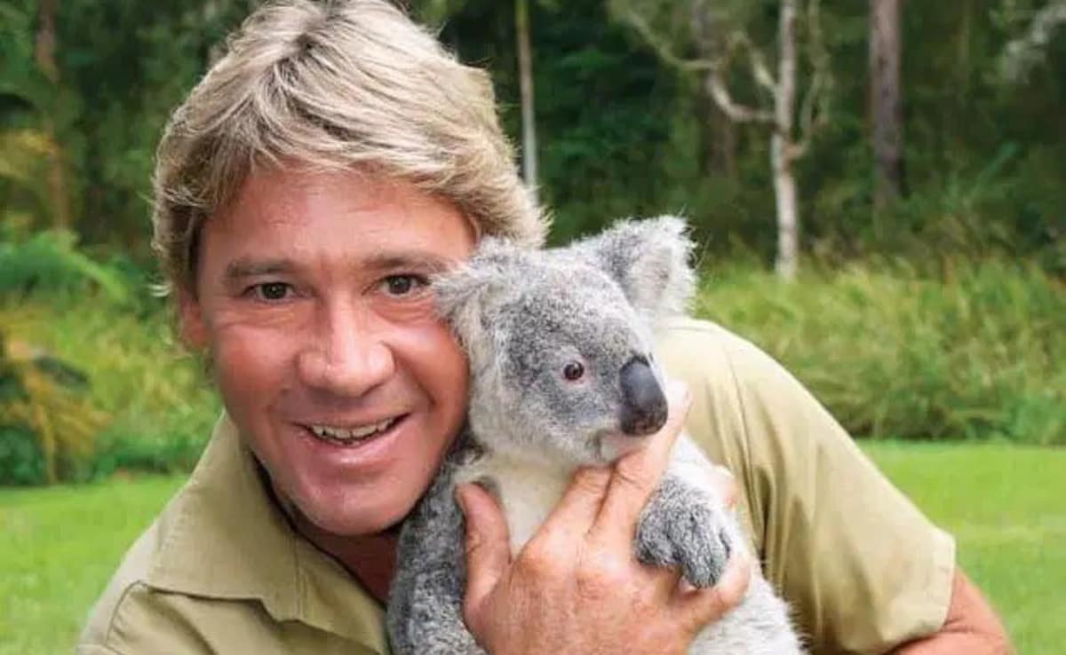 “Could Have Been A Steve Irwin”: 16-cm Stingray Barb Pierces Woman’s Arm