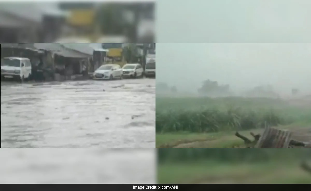 14 Killed In Rain-Related Incidents In Gujarat; Thunderstorms Predicted