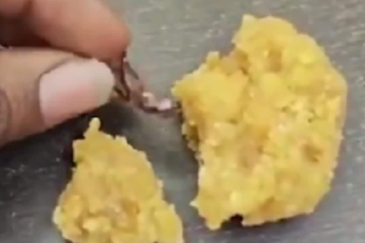 Man Alleges Cockroach In Andhra Pradesh Temple’s ‘Prasadam’, Official Refutes Claim