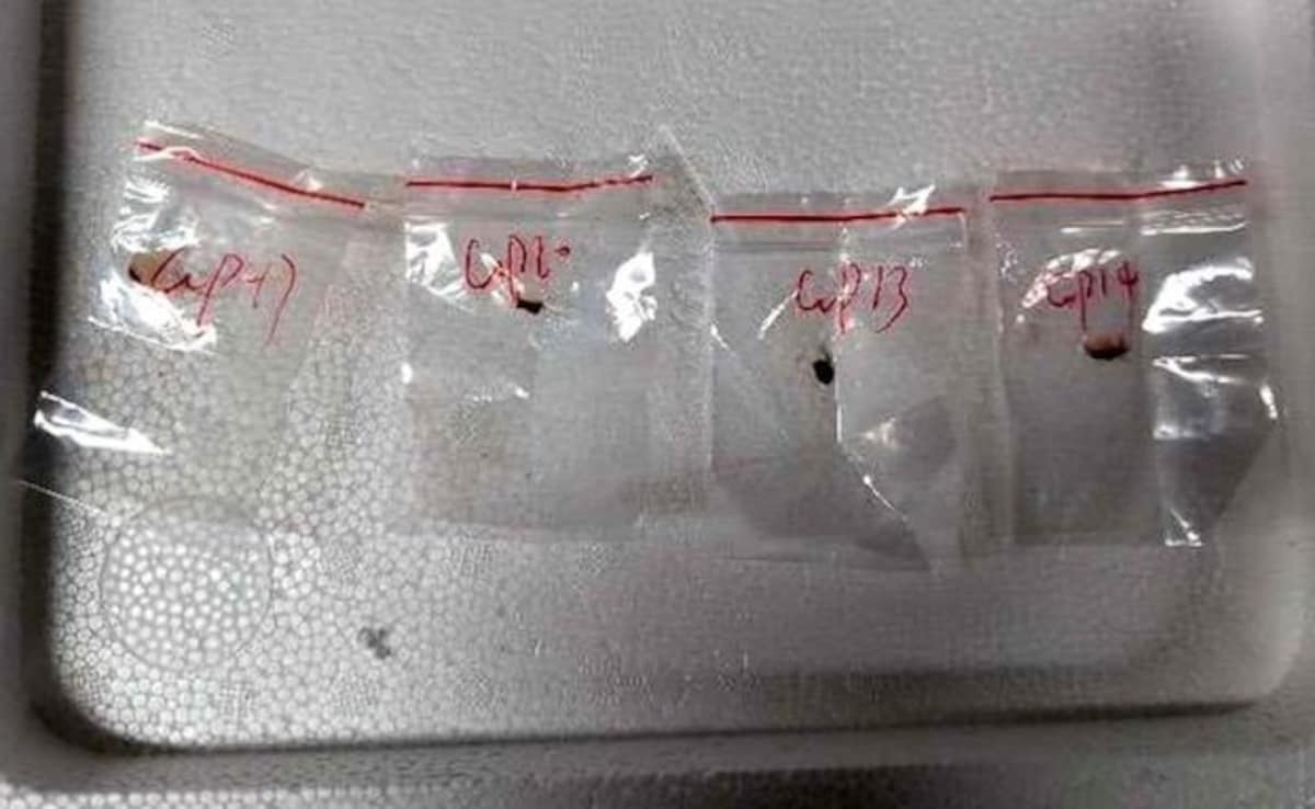 Chinese Woman, Boyfriend Arrested For Smuggling Biological Pathogen Into US