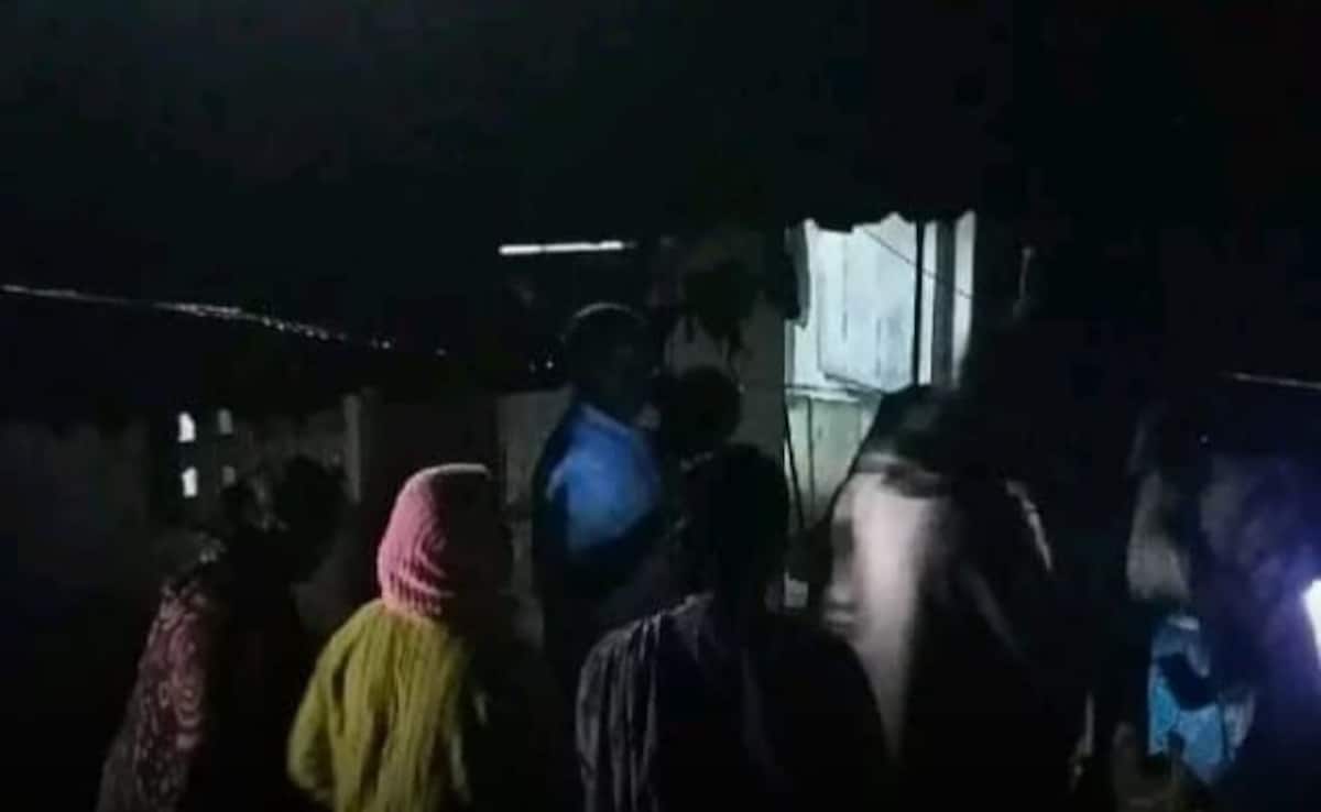 Leopard Drags Away 4-Year-Old Girl In Tamil Nadu, Search Underway