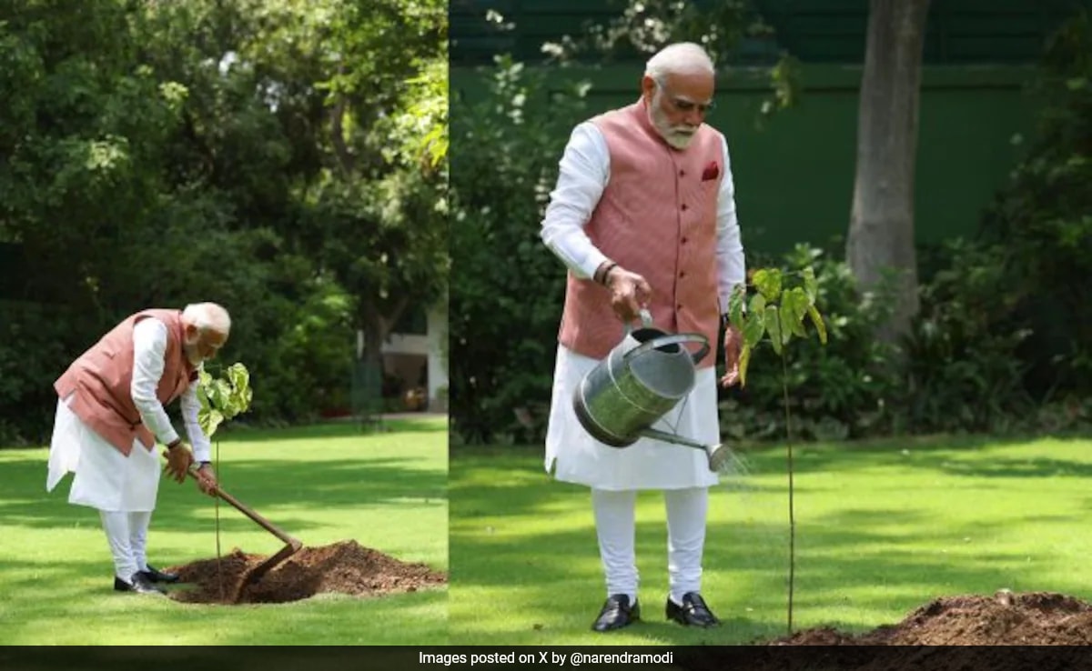 PM Modi Plants Sindoor Sapling,  A Symbol Of Women’s Valor, Inspiration