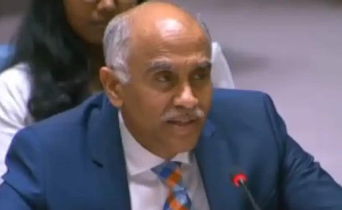 At UN Security Council, India Exposes For Terrorism And Child Rights Abuses