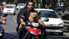 Iran expands dog-walking ban
