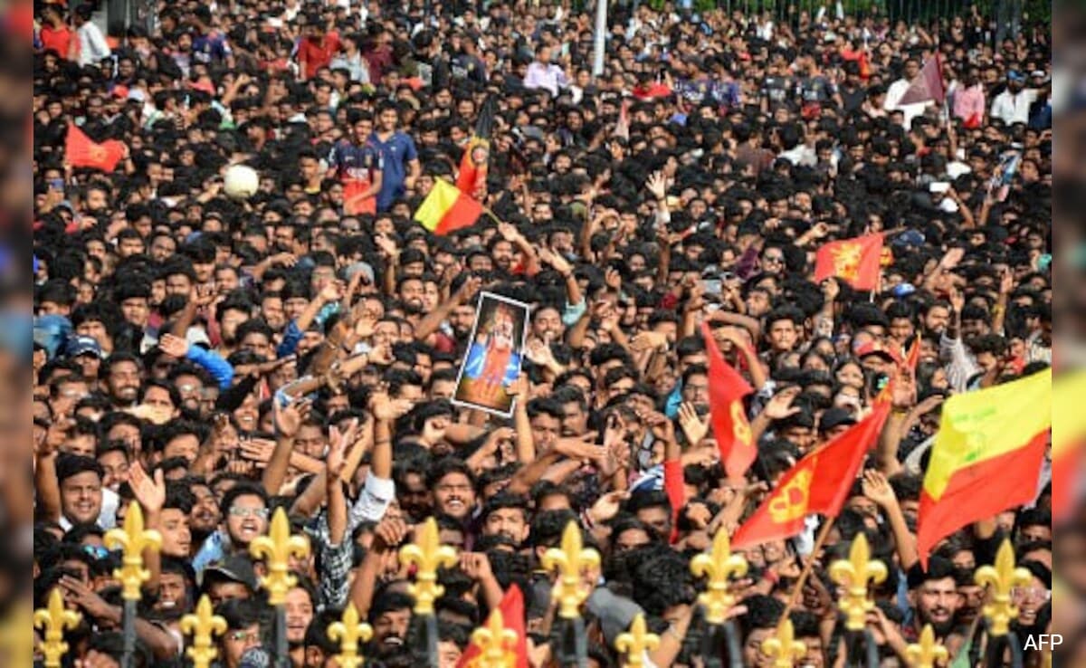 RCB Management To Be Probed Over Social Media Post Hours Before Stampede