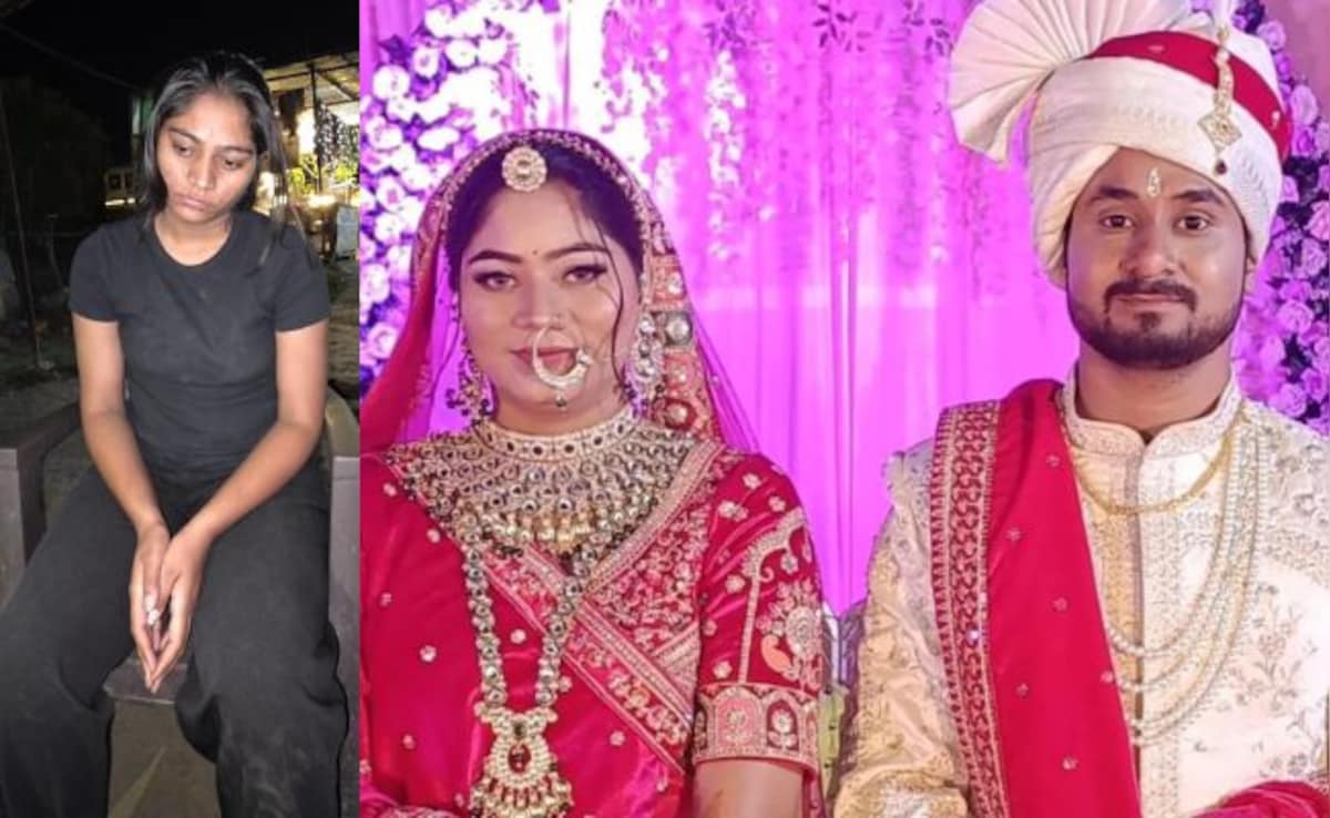 How Did Raja Raghuvanshi, Sonam Meet Before Marriage? What Family Told NDTV