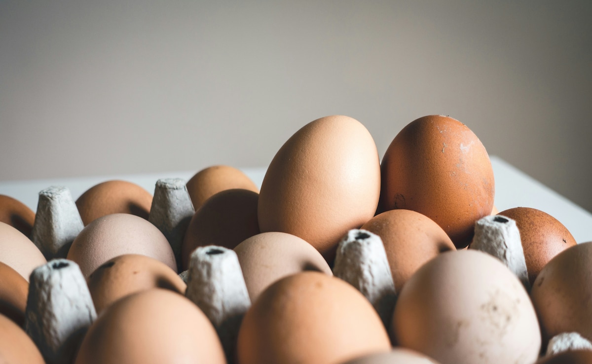 India Ahead Of Neighbours In Egg Intake, But Still Lags Global Average