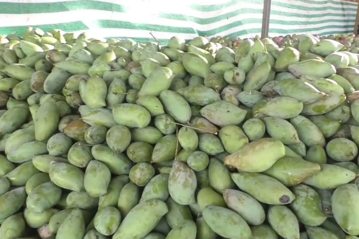 Mango Wars: Karnataka Calls For Federalism, Andhra Pradesh Asks It To Work For Farmers