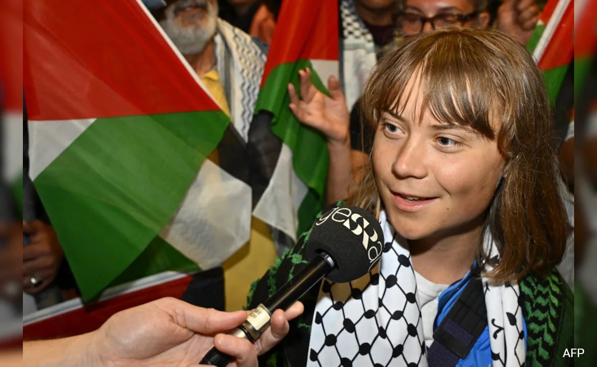 Greta Thunberg Was Abused By Israeli Authorities, Says French Doctor