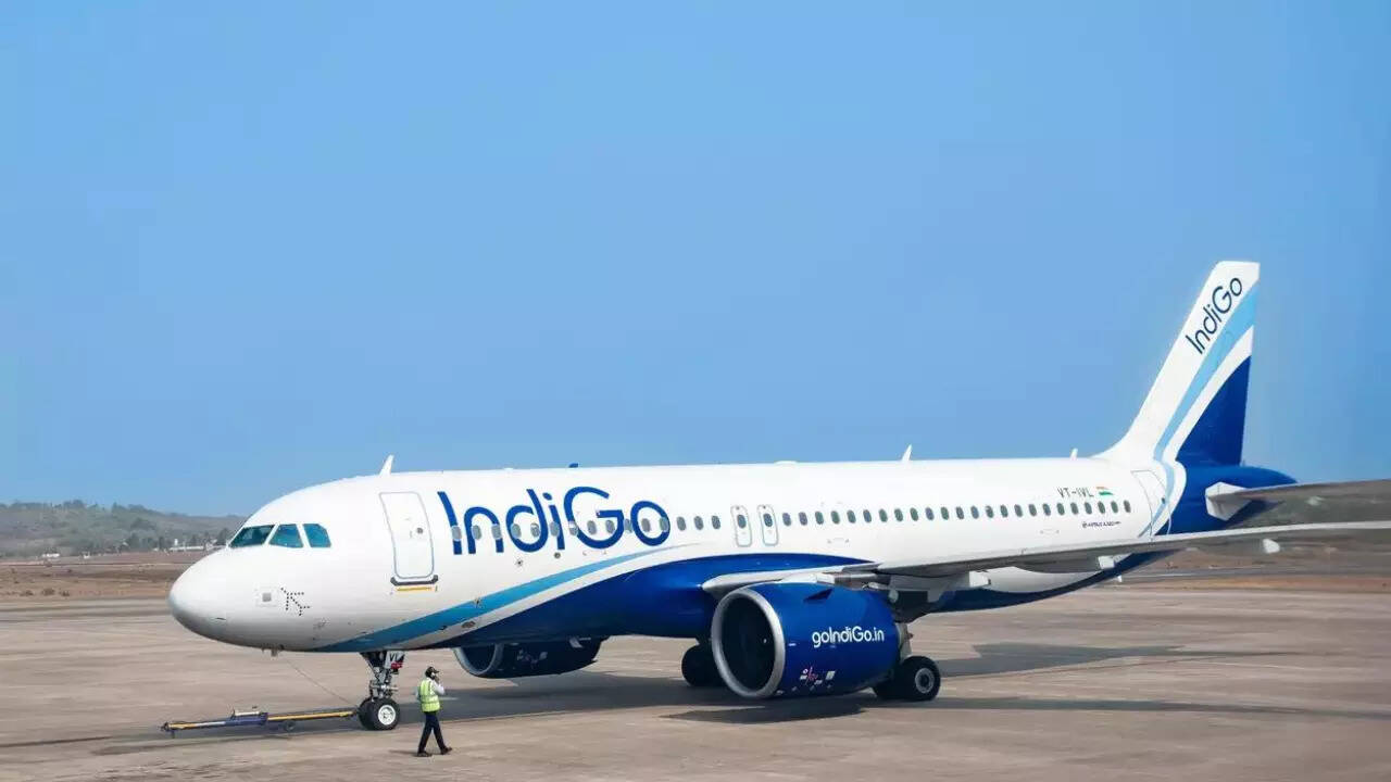 IndiGo flight hit by vulture at 4,000 feet, makes emergency landing in Ranchi
