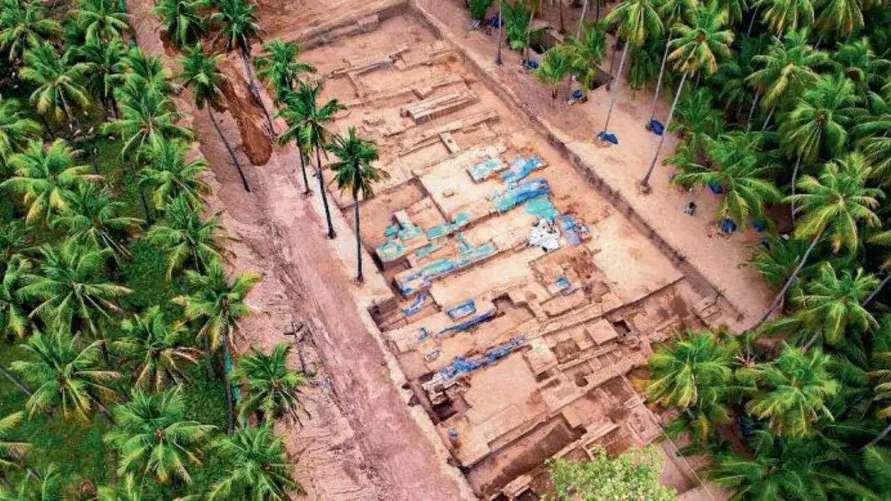 Centre-TN dispute over Keeladi find claims 1st victim: ASI director shunted