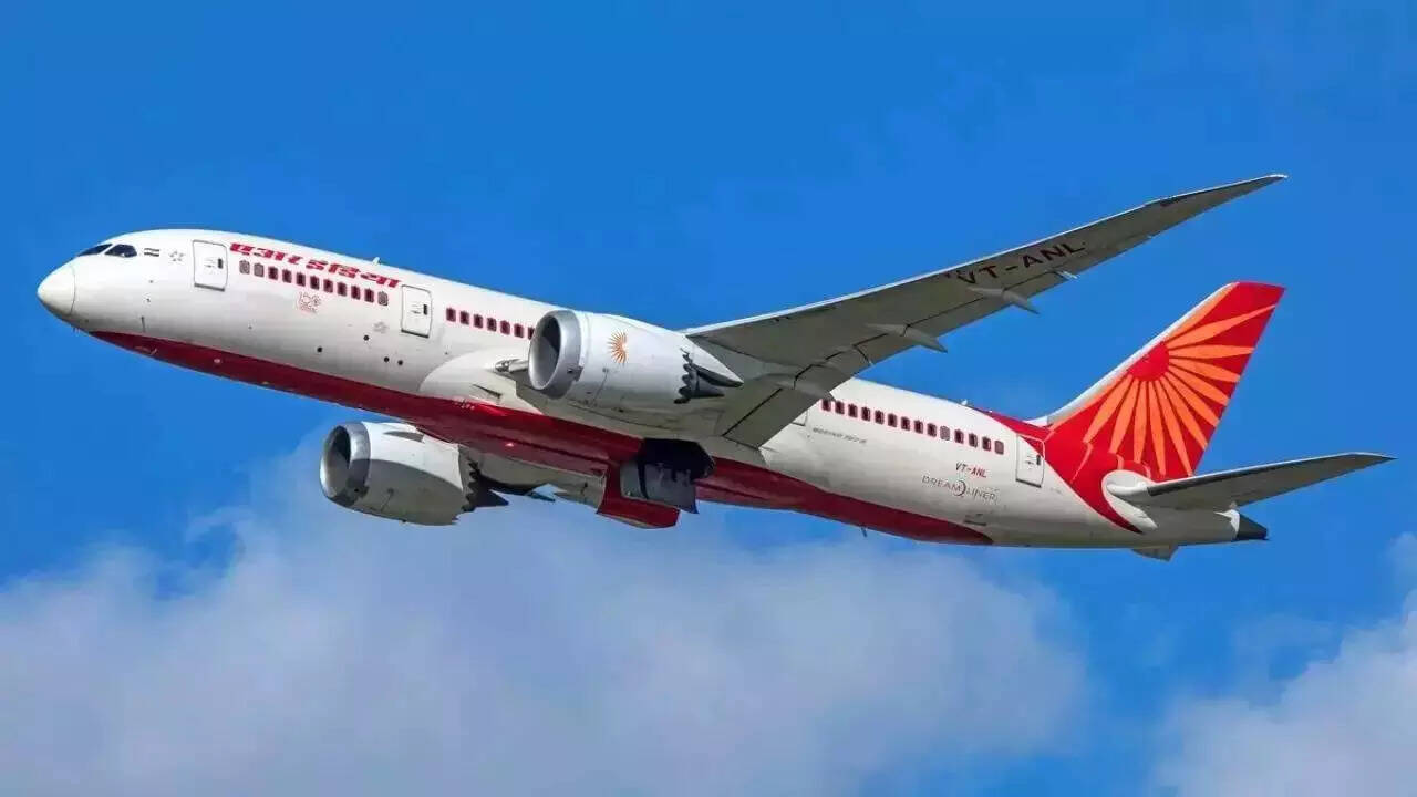Air India plane suffers bird hit in Pune: Return flight cancelled