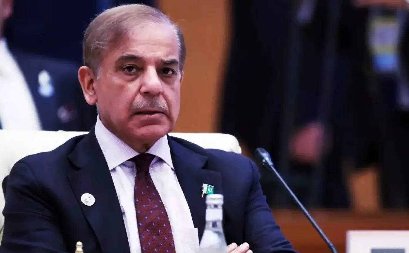 ‘Must be an embarrassment’: Def secy’s jibe at Sharif over Trump-Munir lunch