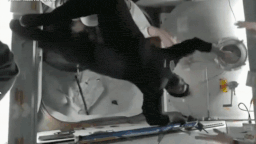 Axiom-4: With hugs and cheers, Shubhanshu Shukla floats in ISS- first visuals