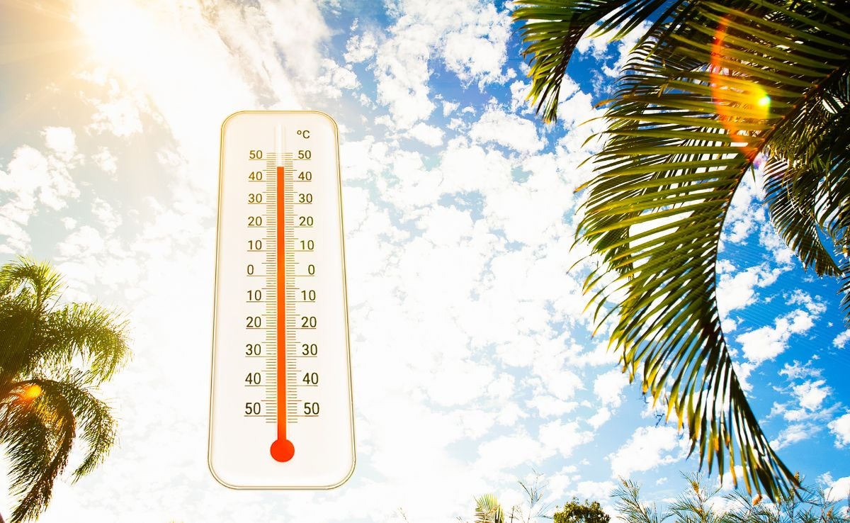 Delhi Records Highest Peak Power Demand Of This Summer On June 11