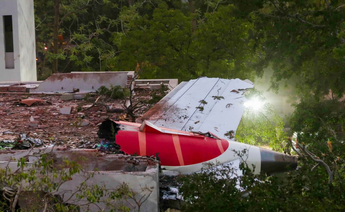 He Came To India To Fulfil Wife’s Last Wish, Died In Plane Crash On Way Back