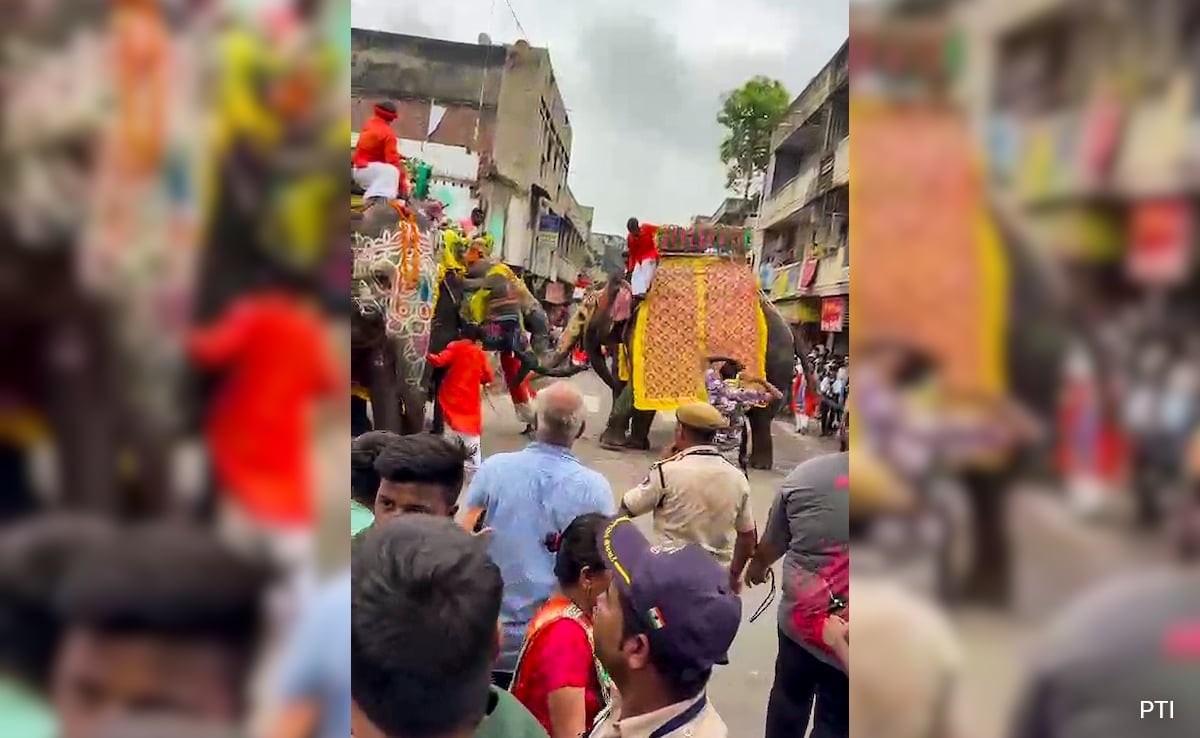 Man Injured As Elephant Runs Wildly At Ahmedabad’s Rath Yatra