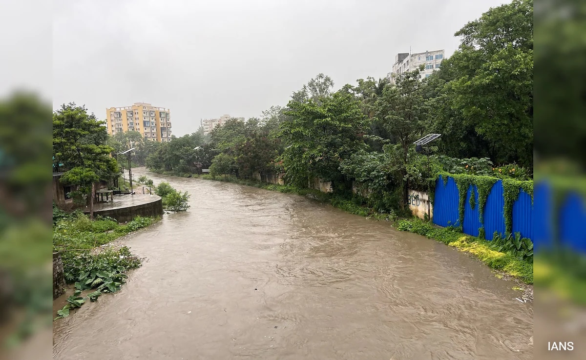 Couple Dies, Bridge Washed Away As Heavy Rains Batter Jharkhand