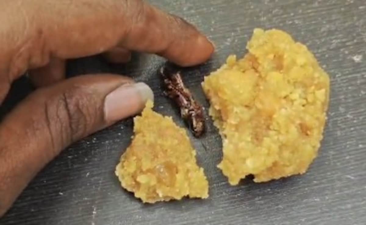 Video: Man Finds Cockroach In Andhra Pradesh Temple’s ‘Prasad’