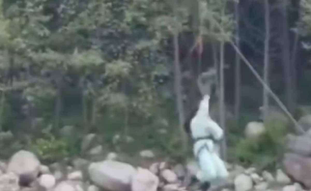 Video: Nagpur Girl Falls Off Zipline As Harness Rope Snaps In Manali, Injured
