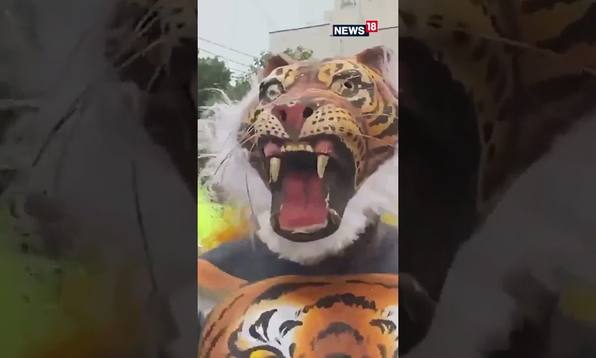 Roaring Ready: Coimbatore Gears Up for International Tiger Day 2025 | Tamil Nadu All Set! | N18S