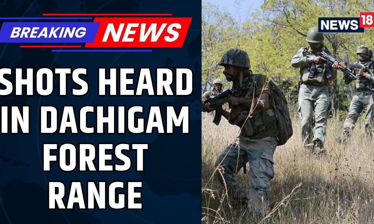 Gunshot Heard In Dachigam Forest Range In Jammu And Kashmir, Search Operations Underway | News18