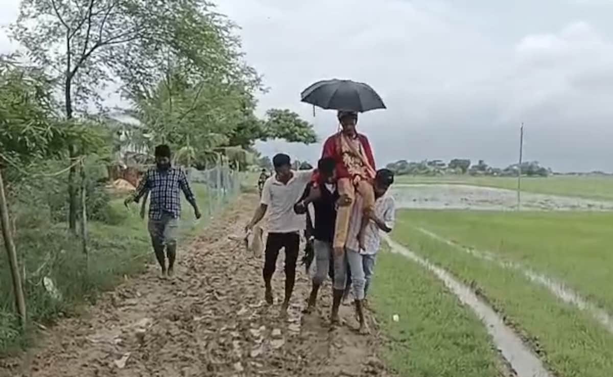Bride Walks Through Mud, Groom Carried On Shoulders In Odisha Village Without Road