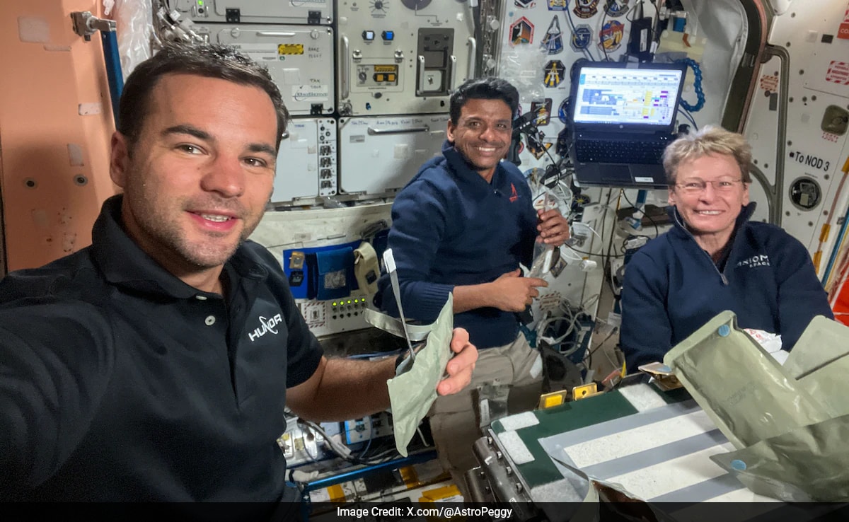 Astronaut Shubhanshu Shukla Set To Return: How Human Body Is Impacted In Microgravity