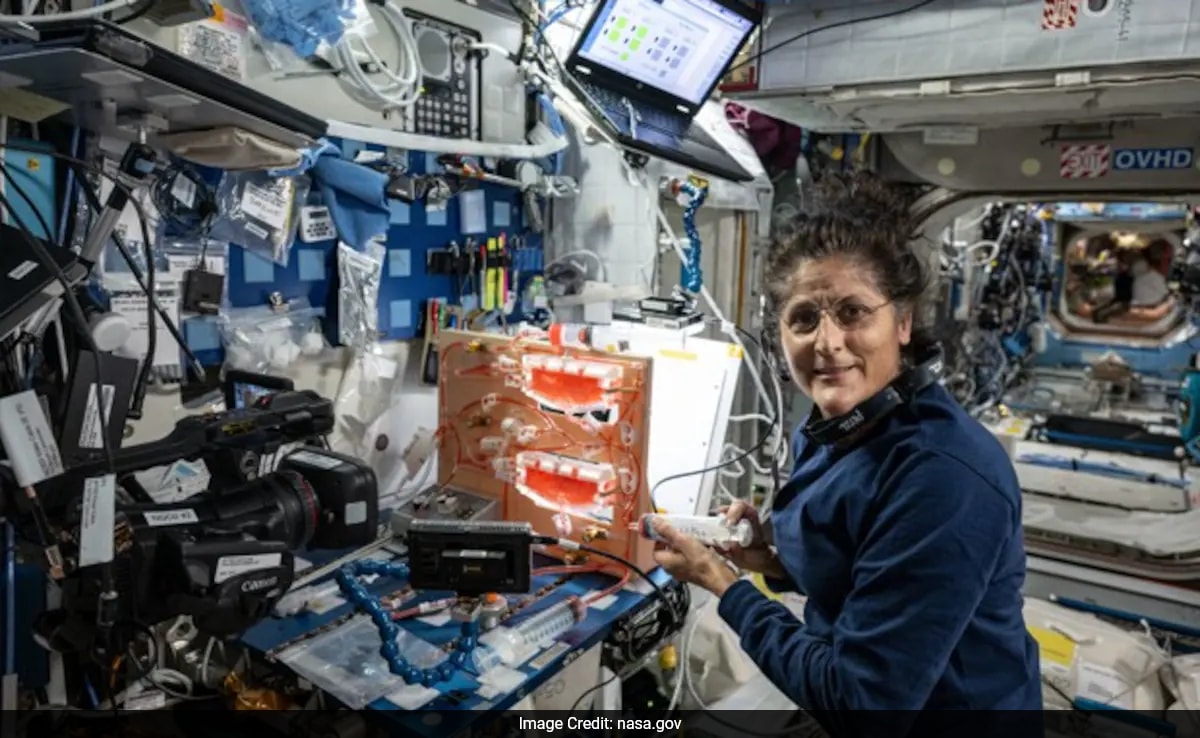 Exclusive – Biology Beyond Earth: How Space Station Is Shaping Human Life in Space