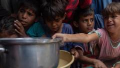 Almost a third of people in Gaza not eating for days, UN food programme warns