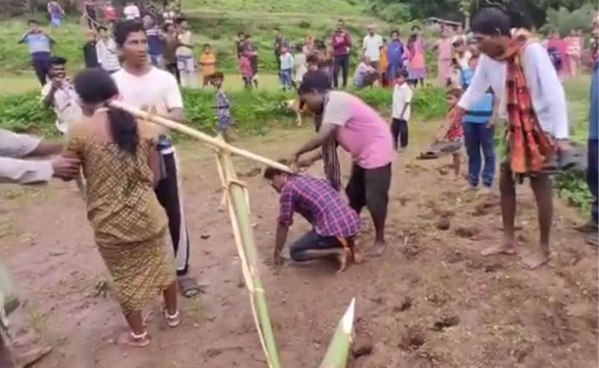 On Camera, Odisha Couple Tied To Yoke Like Oxen, Made To Plough Field
