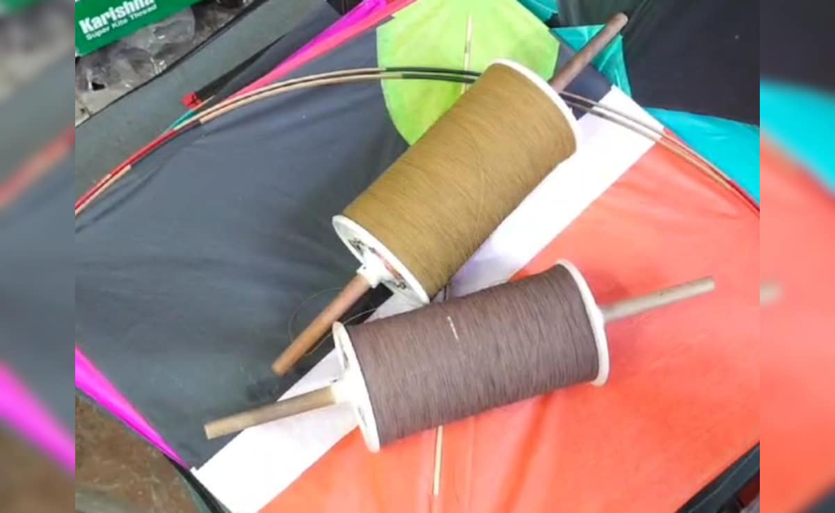 Chinese Manjha Kills Again, 22-Year-Old Latest Victim Of Killer Kite String