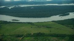 New Brazil development law risks Amazon deforestation, UN expert warns