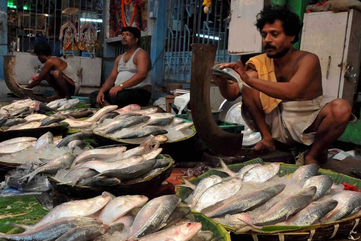 Fish Importers Seek Hilsa From Bangladesh Ahead Of Durga Puja, Urge Policy Reforms