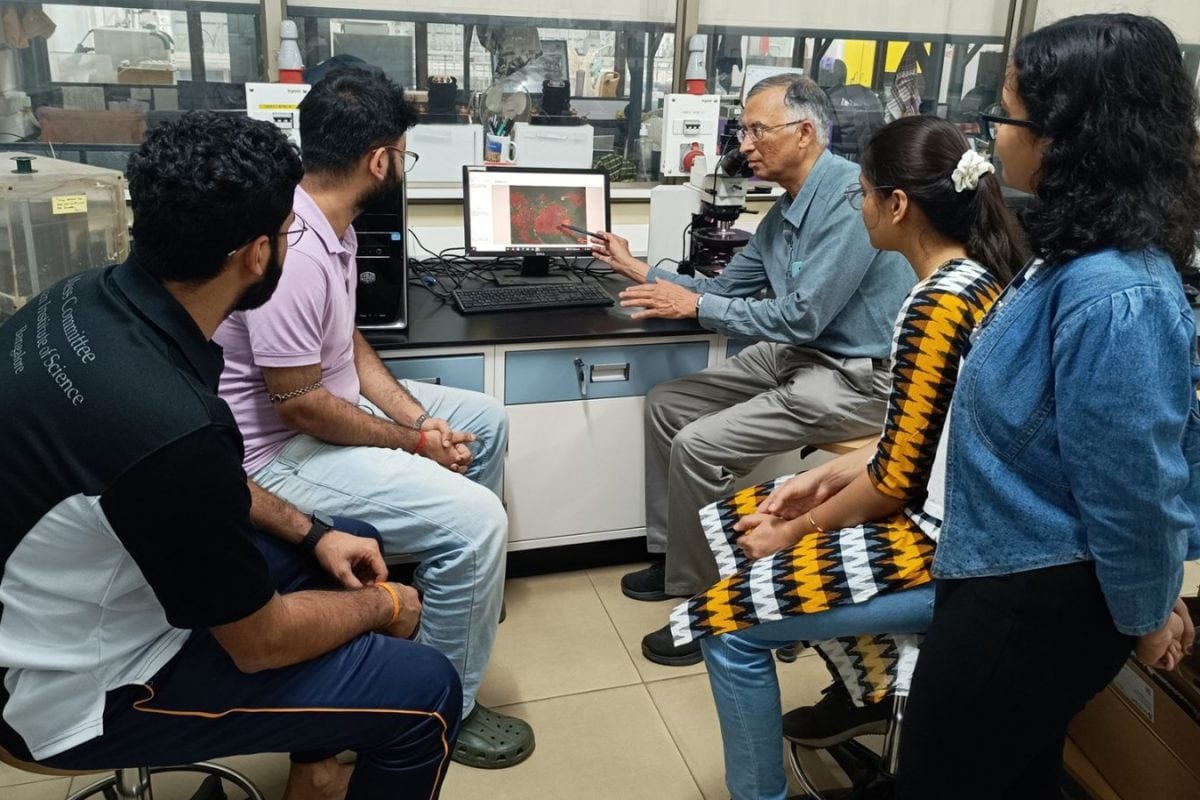 Glow Of Hope: IISc Researchers Develop Low-Cost Probe For Early Detection Of Liver Cancer