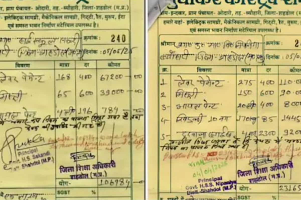 233 People, 4 Litres Paint, Single Wall: Rs 1 Lakh Bill For MP School Draws Netizens’ Eyes