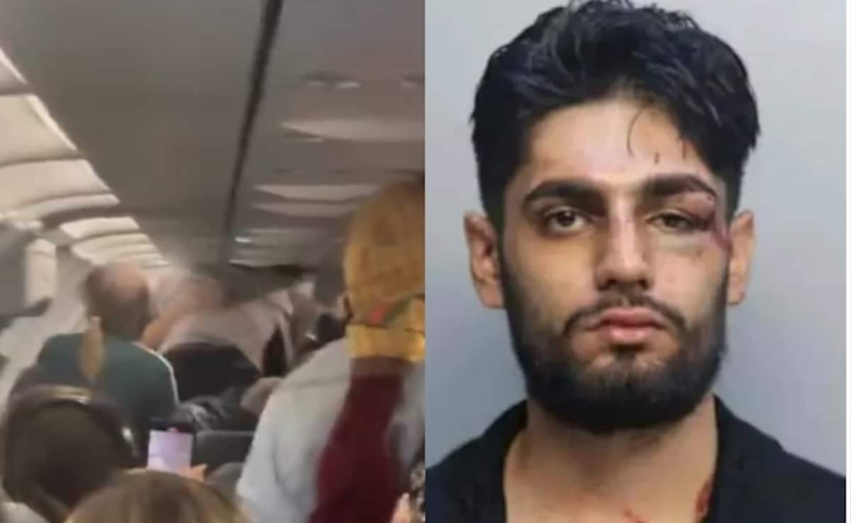 Video: Indian-Origin Man “Chokes” Passenger Mid-Flight, Arrested In US