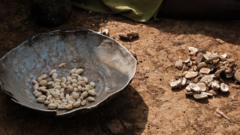 More than a dozen children die because of food shortages in Sudan camp – medics