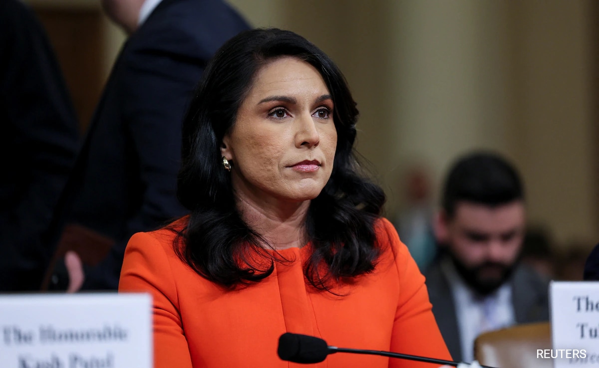 Tulsi Gabbard Releases New Documents Targeting Obama Over 2016 Polls