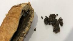 In pictures: The evidence in Erin Patterson’s mushroom murder trial