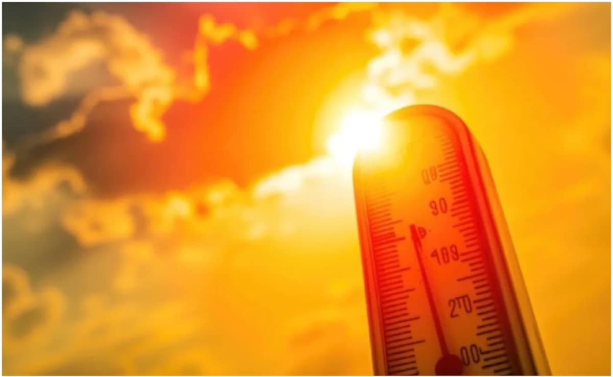 England Records Warmest June With Temperature Hitting 33.6 Degrees Celsius