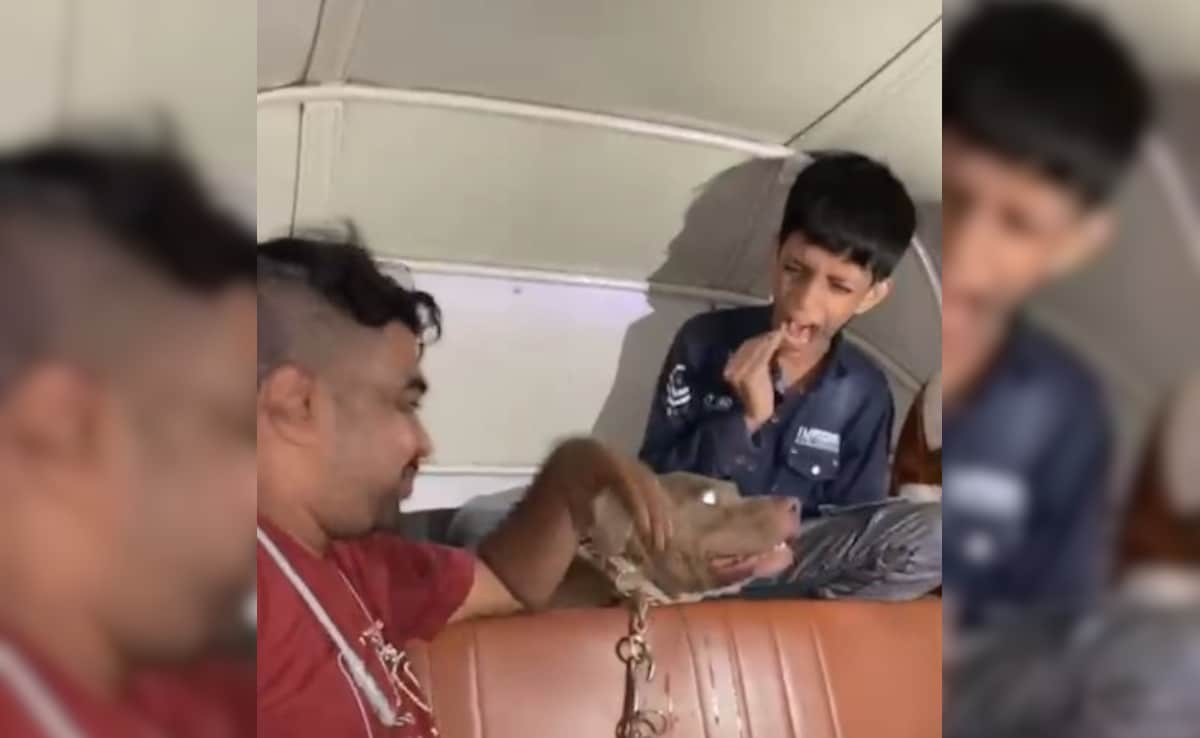 Video: Man Laughs As His Pit Bull Bites Child Inside Auto-Rickshaw In Mumbai